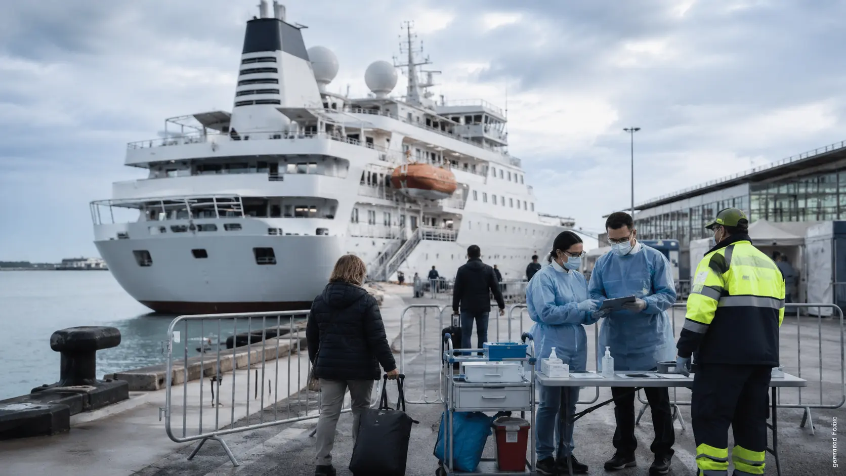 Hantavirus : propagation, mesures sanitaires et gestion de la crise en France et à l’international